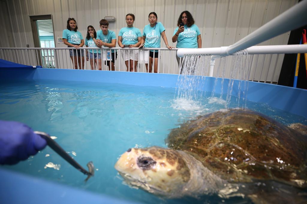 Summer Bridge students got a chance to tour the Karen Beasley Sea Turtle Rescue and Rehabilitation Center in Surf City, NC