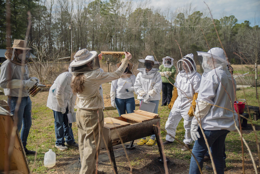 Dr. Kaitlin Campbell and Beekeeping
