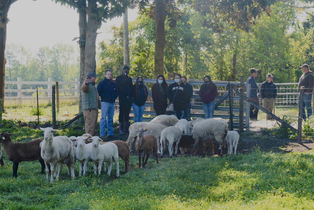 Field Experiences for Animal Nutrition Students