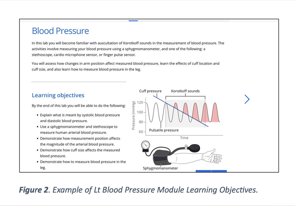Figure 2. Example of Lt Blood Pressure module