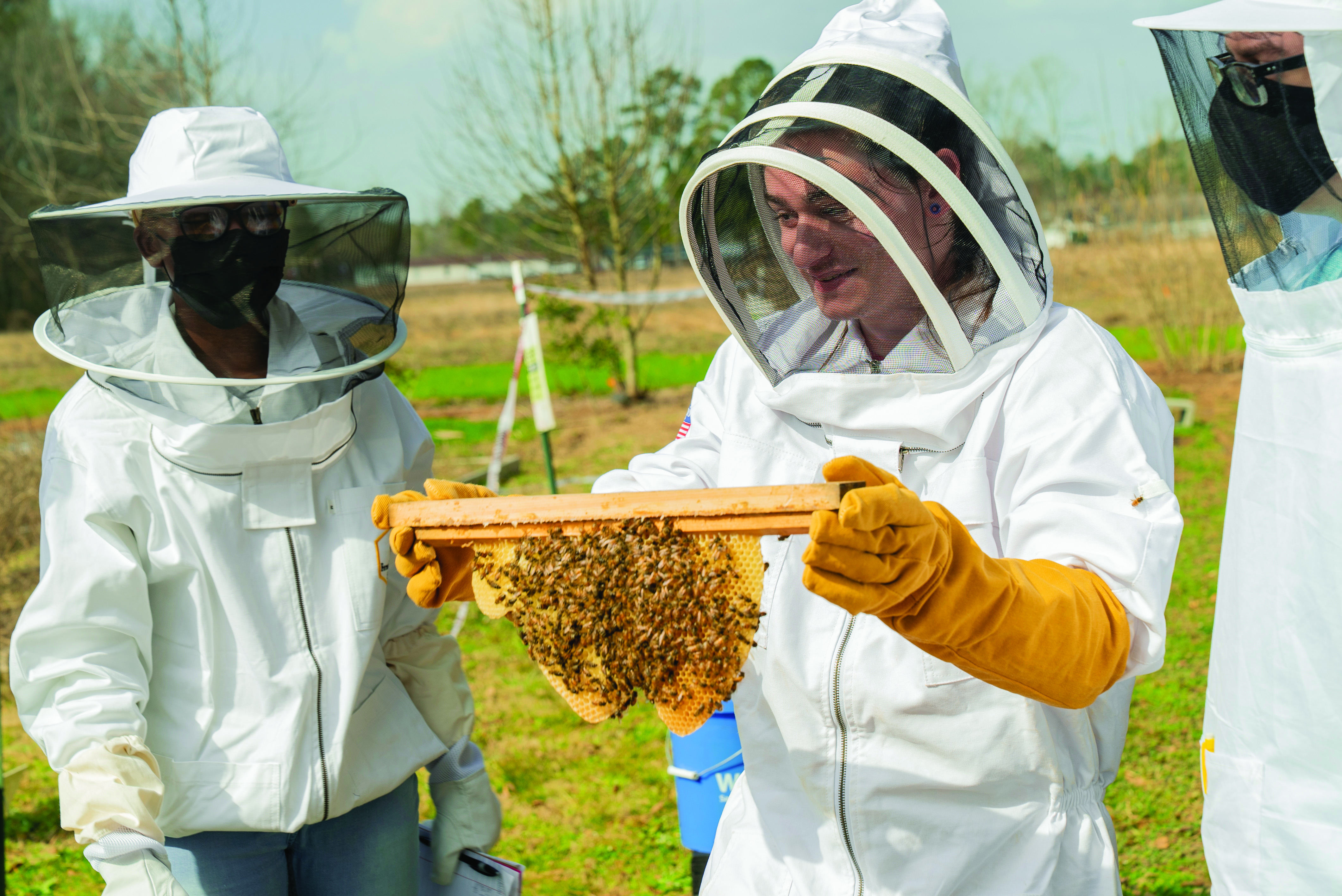 people in bee suits with bee hive