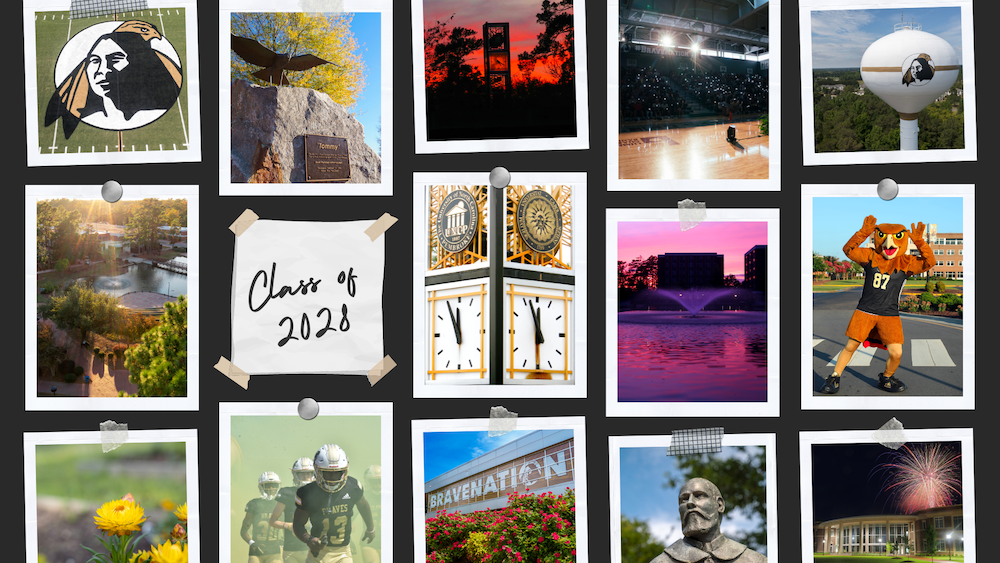 NSO desktop wallpapers