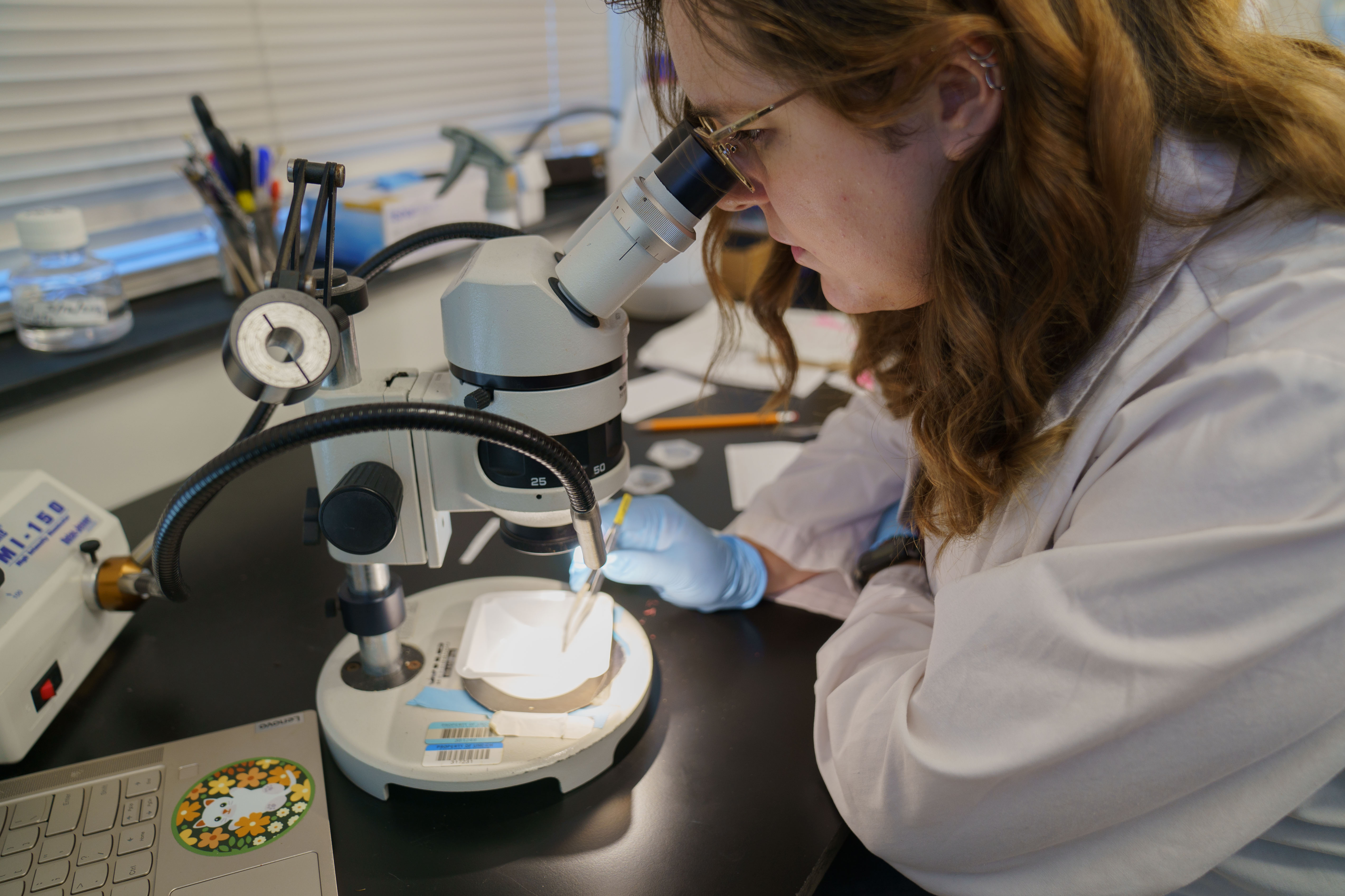 student using a microscope