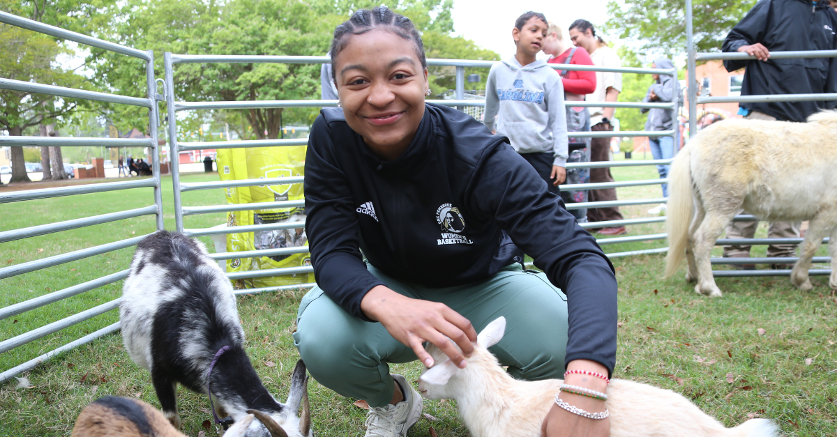 Festival at Old Main 2025