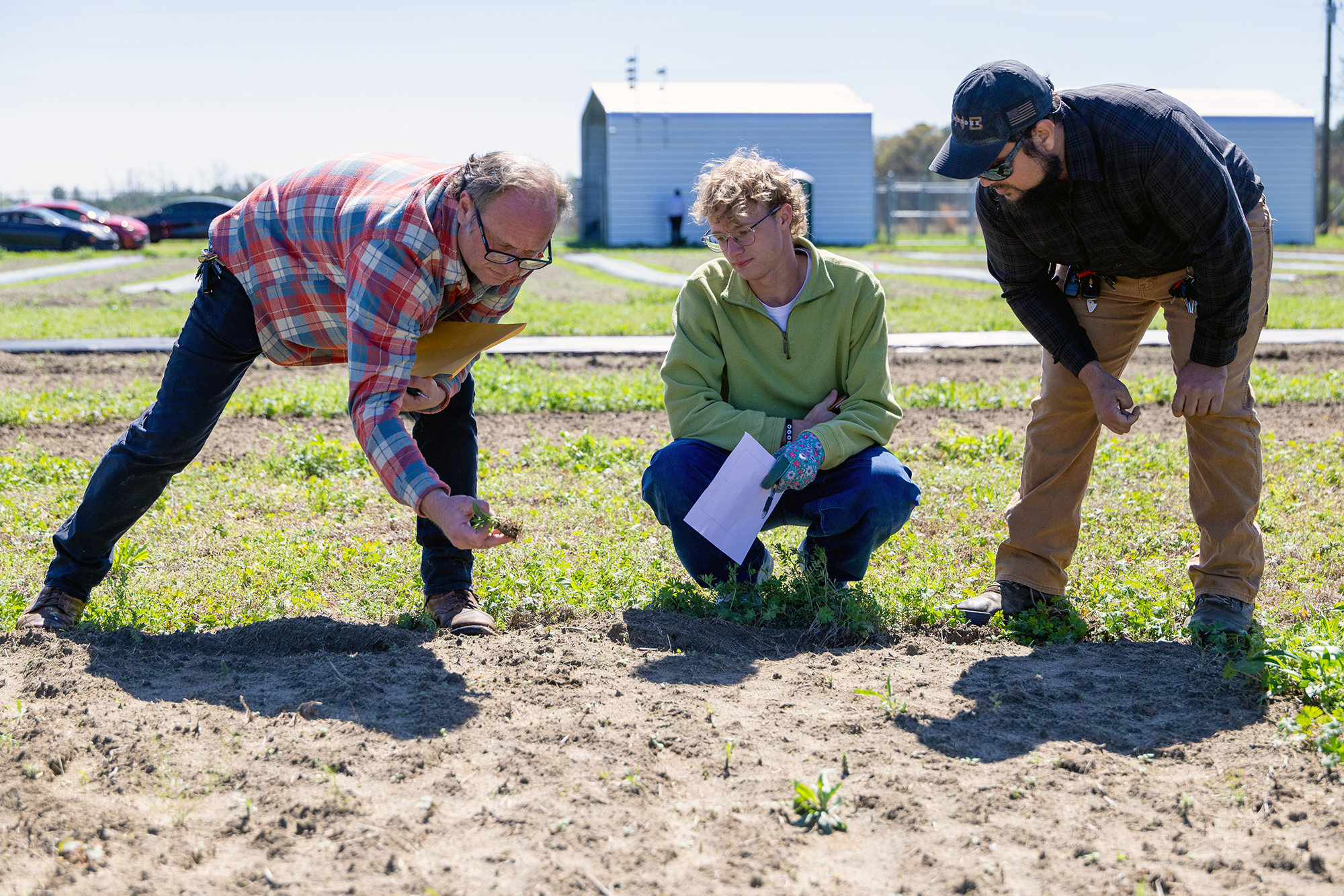 Dr. Bryan Sales examines a plant with a student and local farmer in a field.