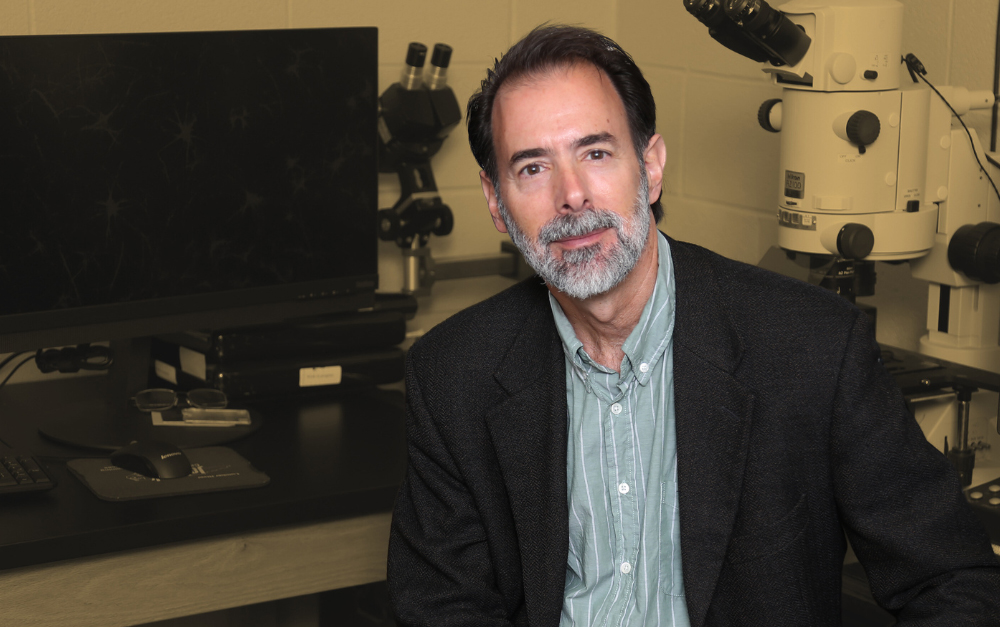 Neuroscientist Professor Ben Bahr