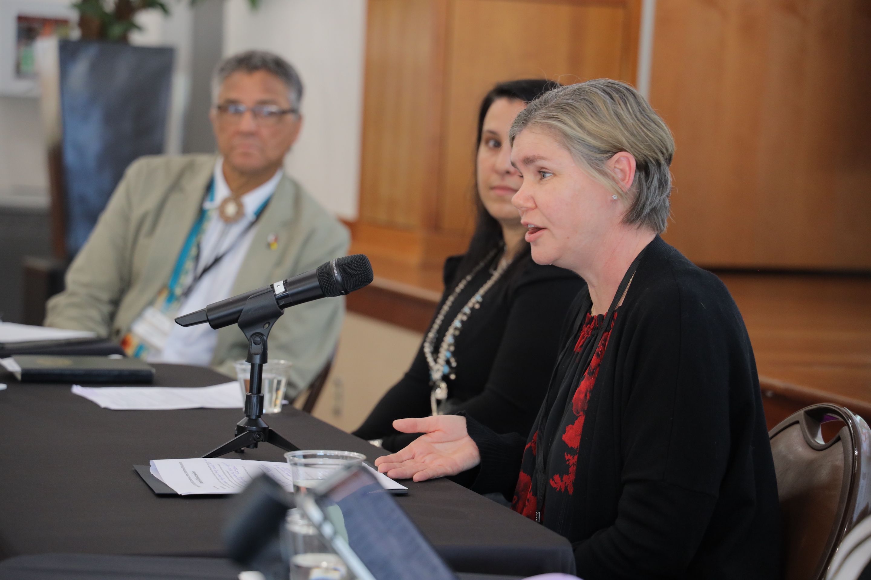 Erica Little and Panelists Dr. Ronnie Bell and Dr. Jada Brooks