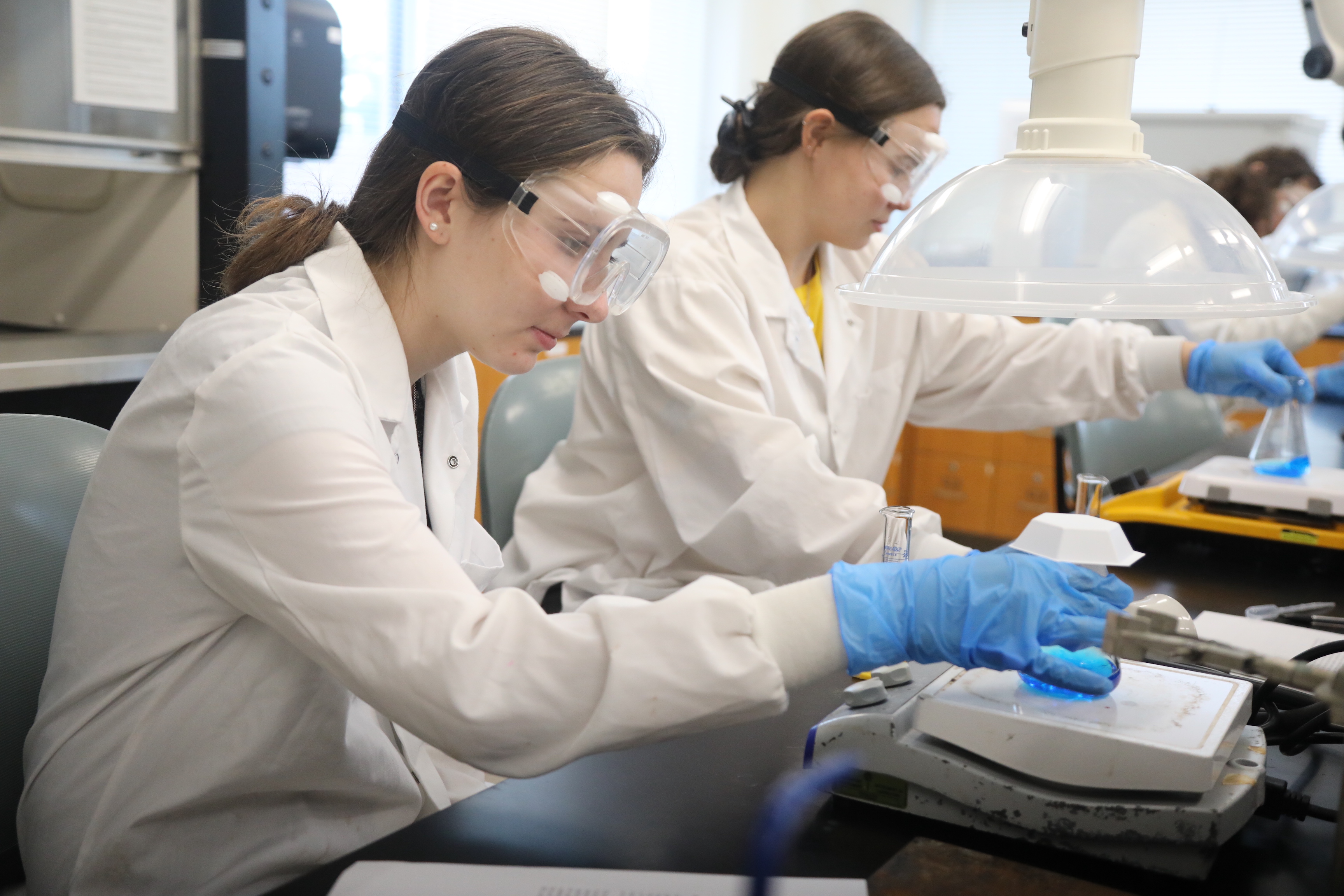 Students working in a lab