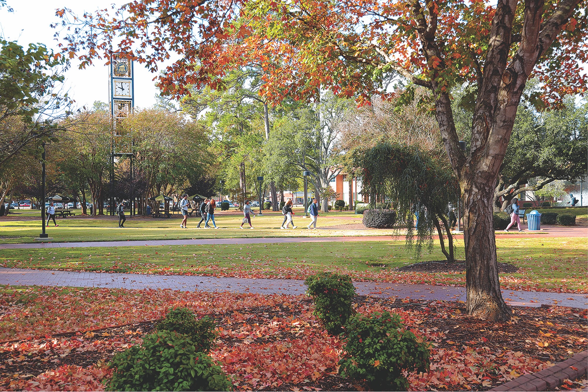 The UNC Pembroke campus during autumn, with fall foliage along campus pathways.