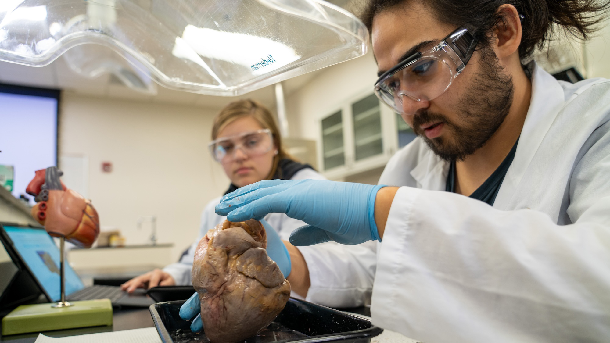 Silvia Smith biology dissection students