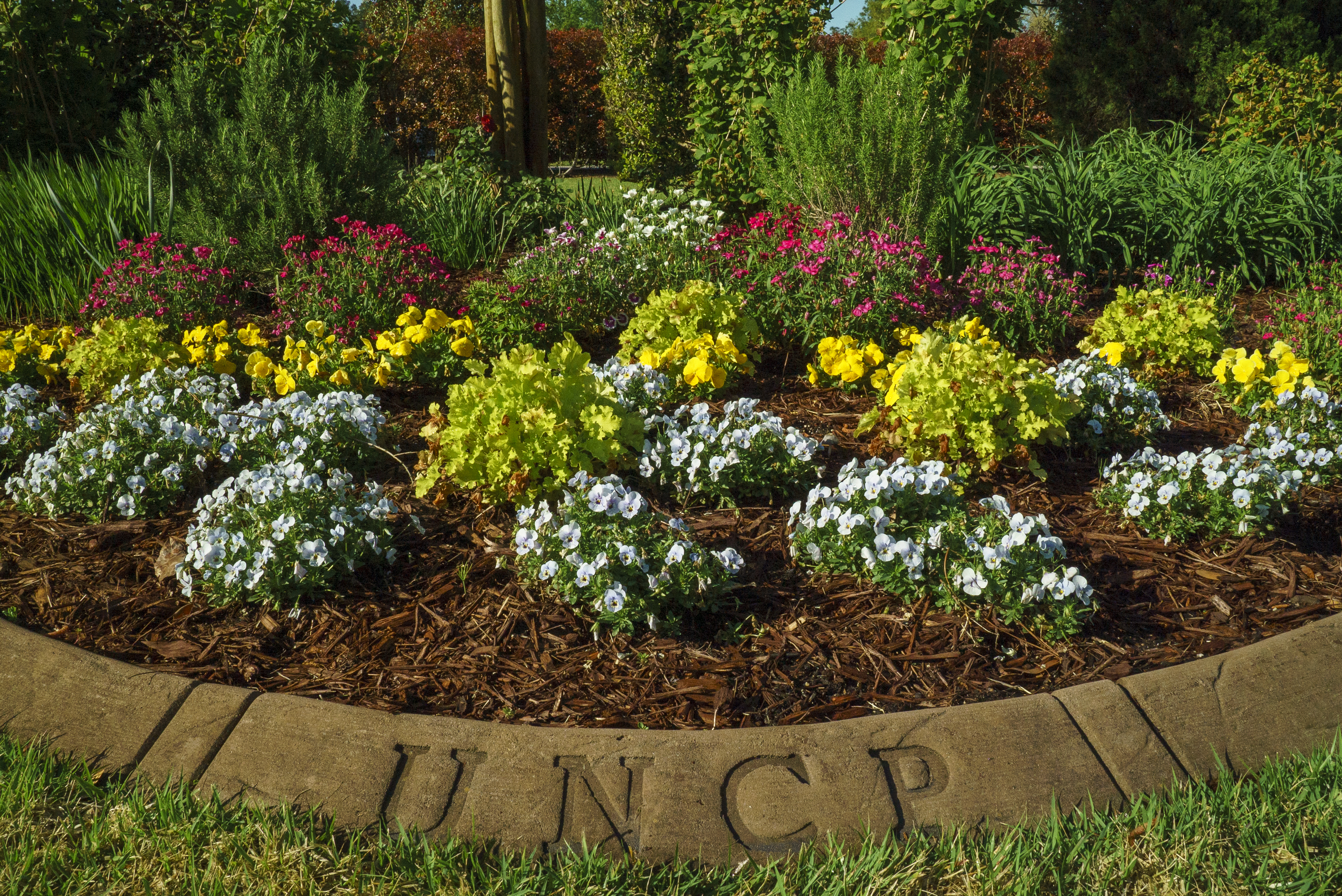 A well-maintained flower bed with white, yellow, and pink flowers, bordered by a curved stone edge engraved with the letters 'UNCP'.