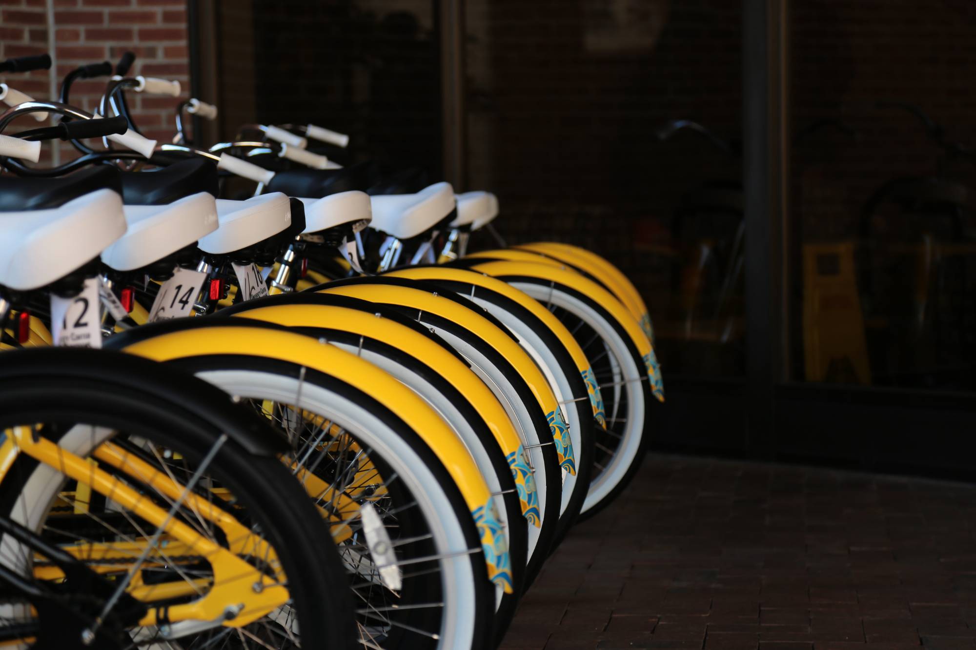 Yellow bike share bikes outside of the Chavis Student Center