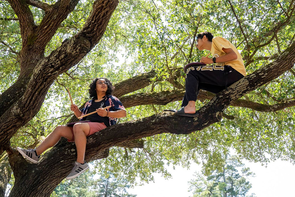 Two male marching band students sitting on a large limb in a tree and practicing with drumsticks on their legs.