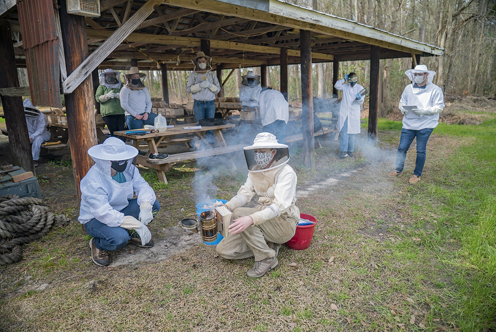 agriculture apiary bee hive Kaitlin class UNCP