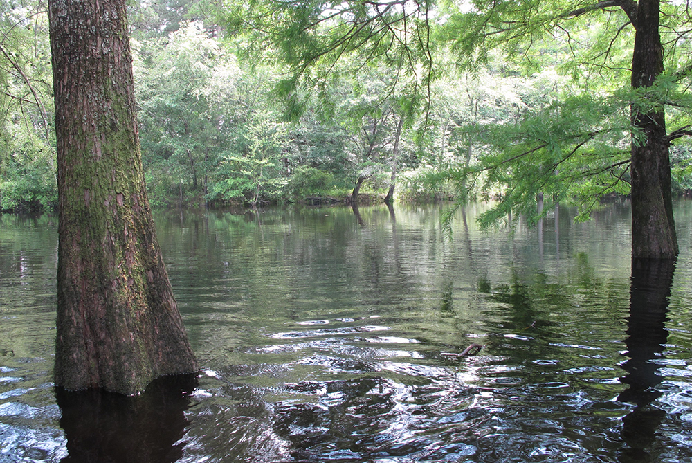 Lumbee River