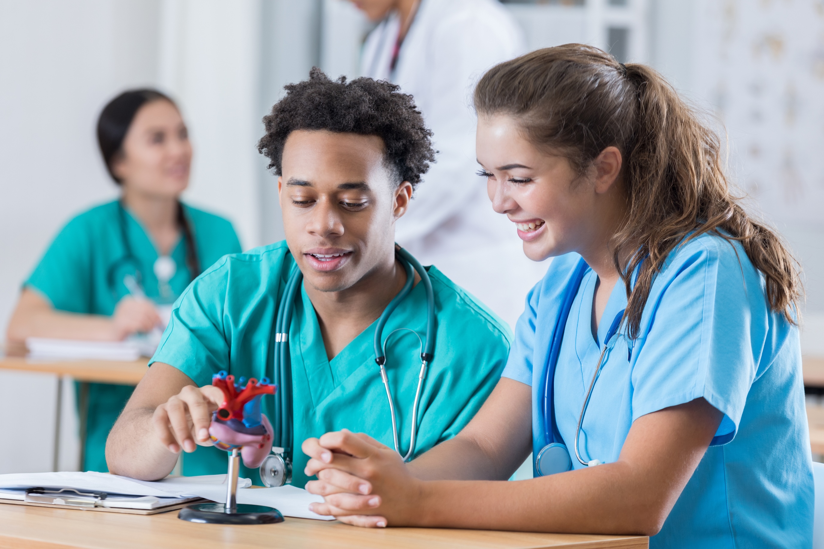 Nursing anatomage table 
