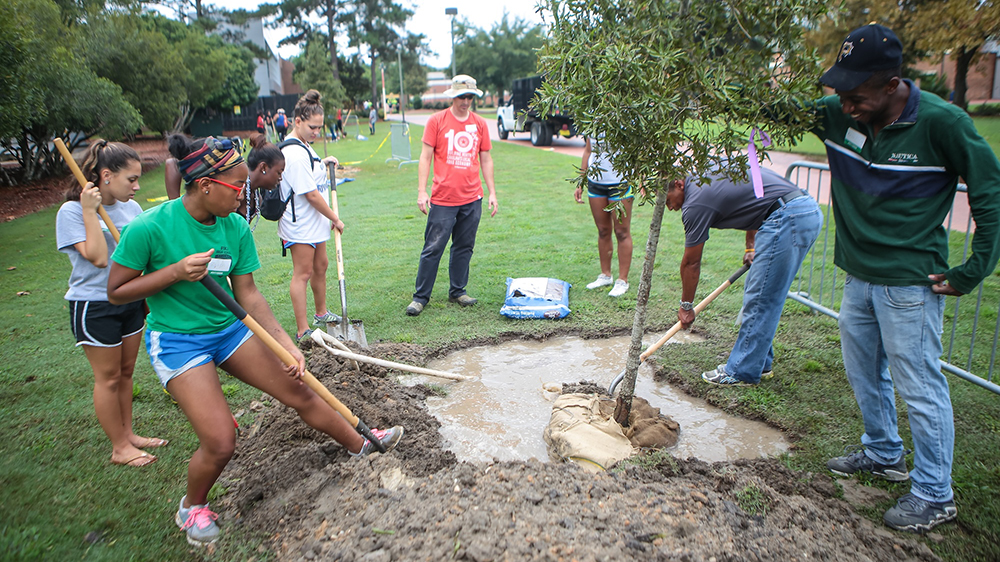 Students planting a tree