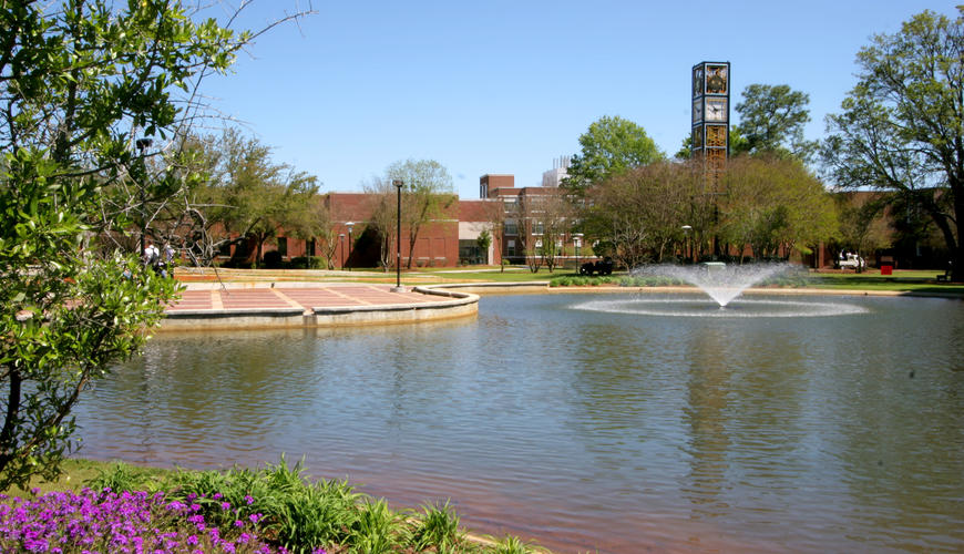 Water Feature and Amphitheatre