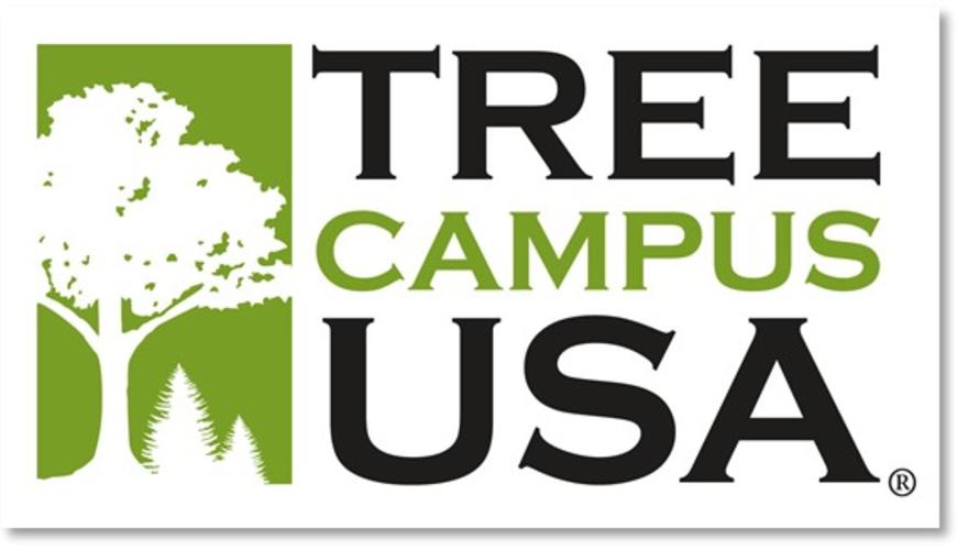 Tree Campus USA 