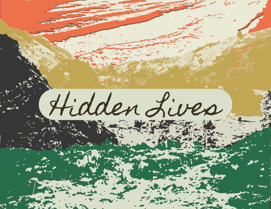 Hidden Lives (Title) Exhibition Image