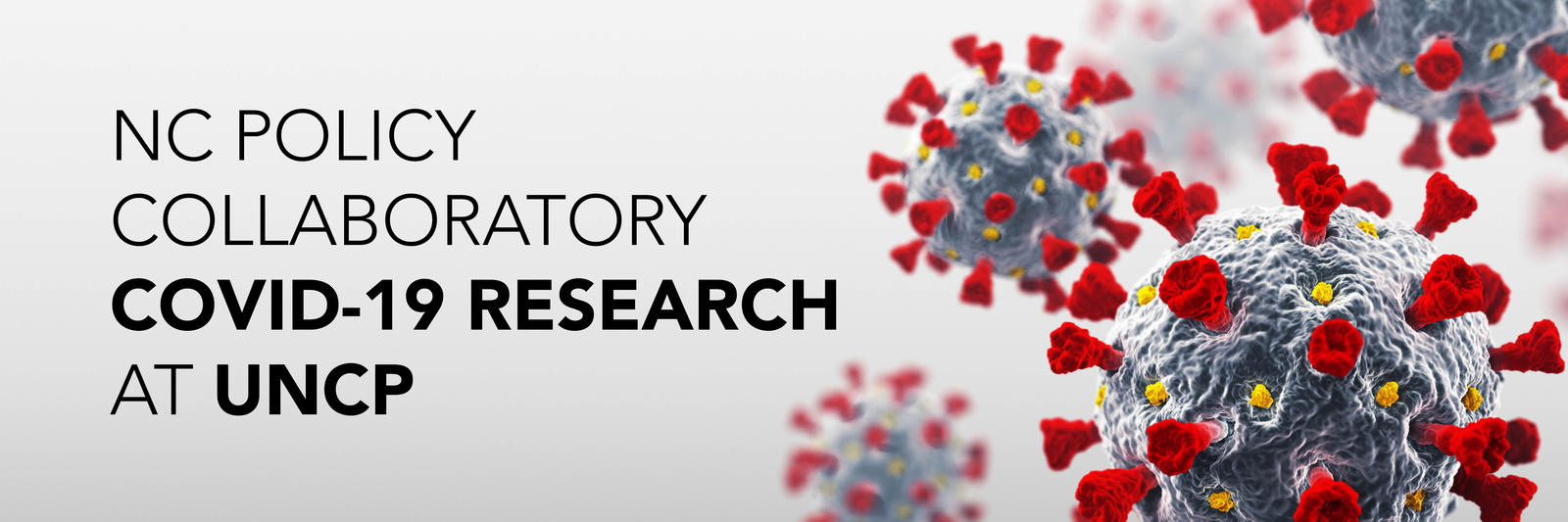 Coronavirus image-nc policy collaboratory covid 19 research