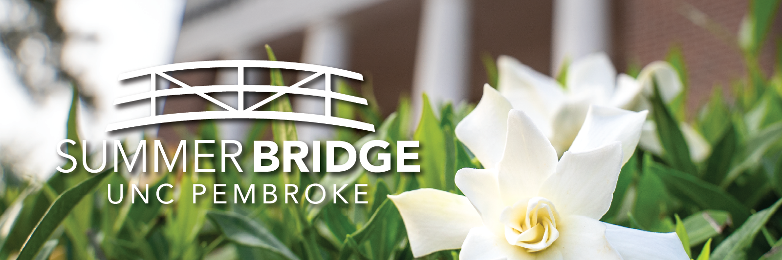 SummerBridge logo with flower