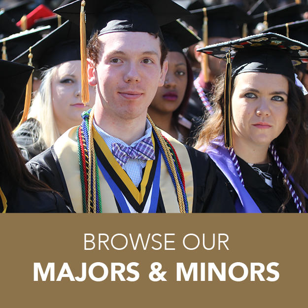 BROWSE OUR MAJORS AND MINORS