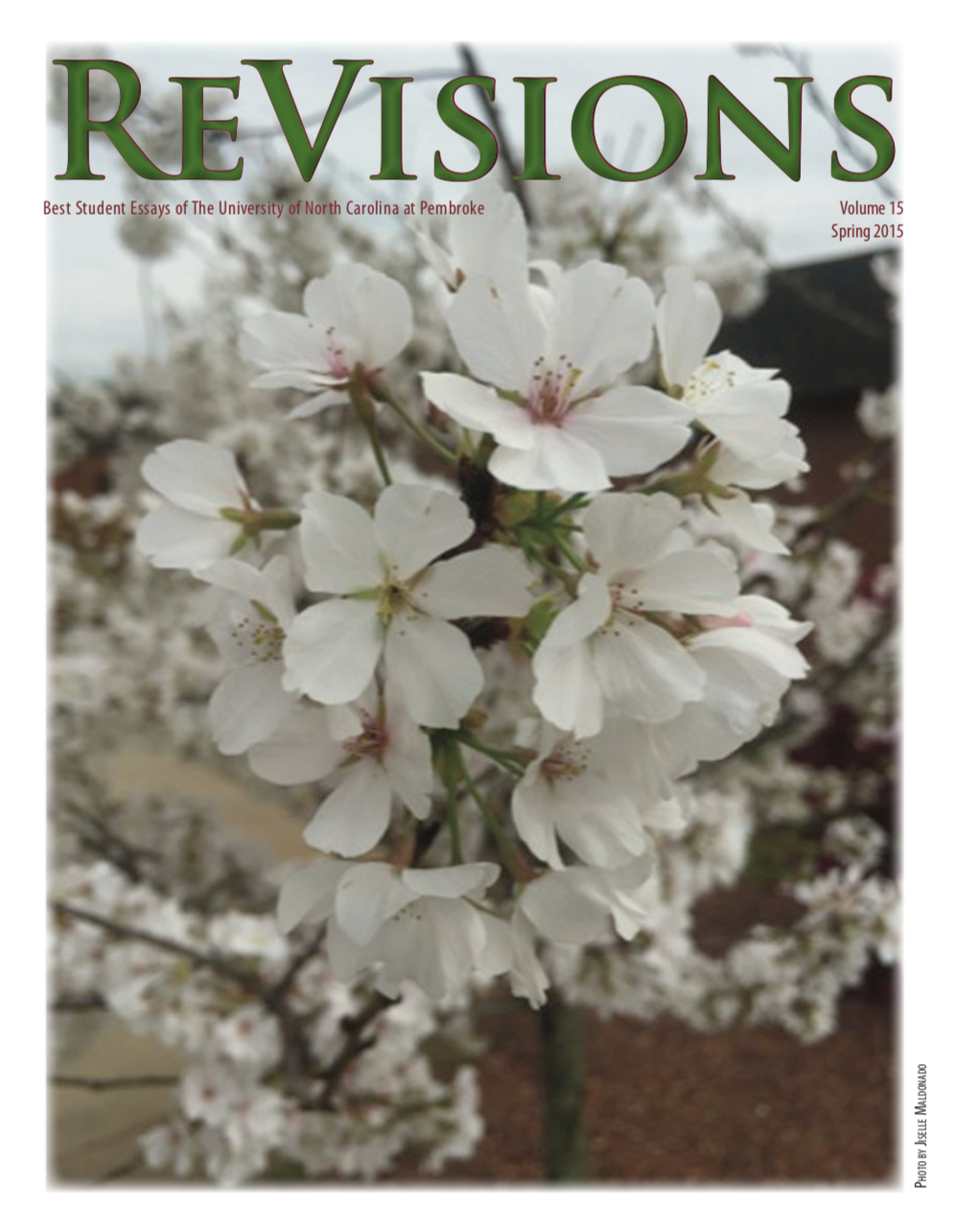 ReVisions 2015
