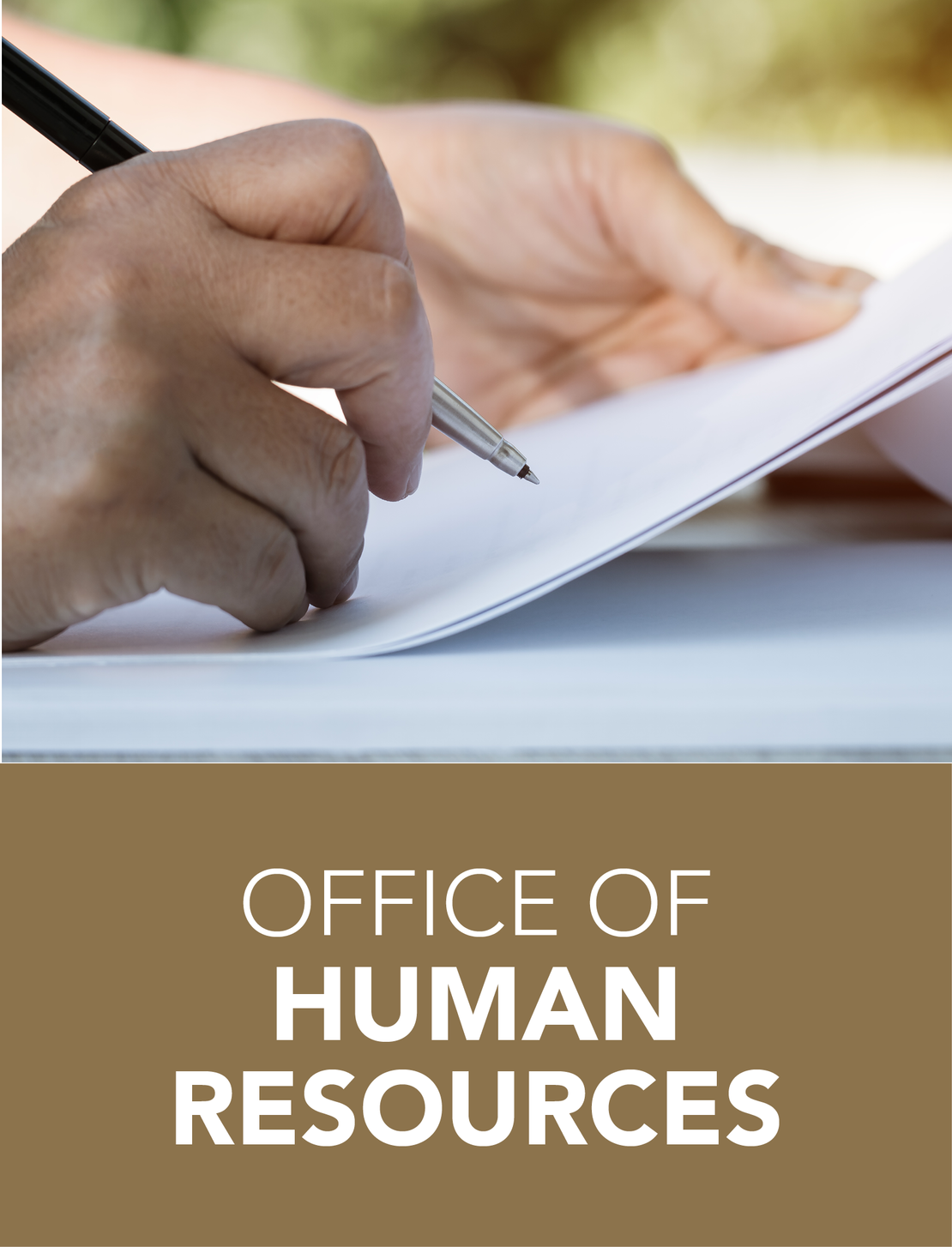 OFFICE OF HUMAN RESOURCES LINK