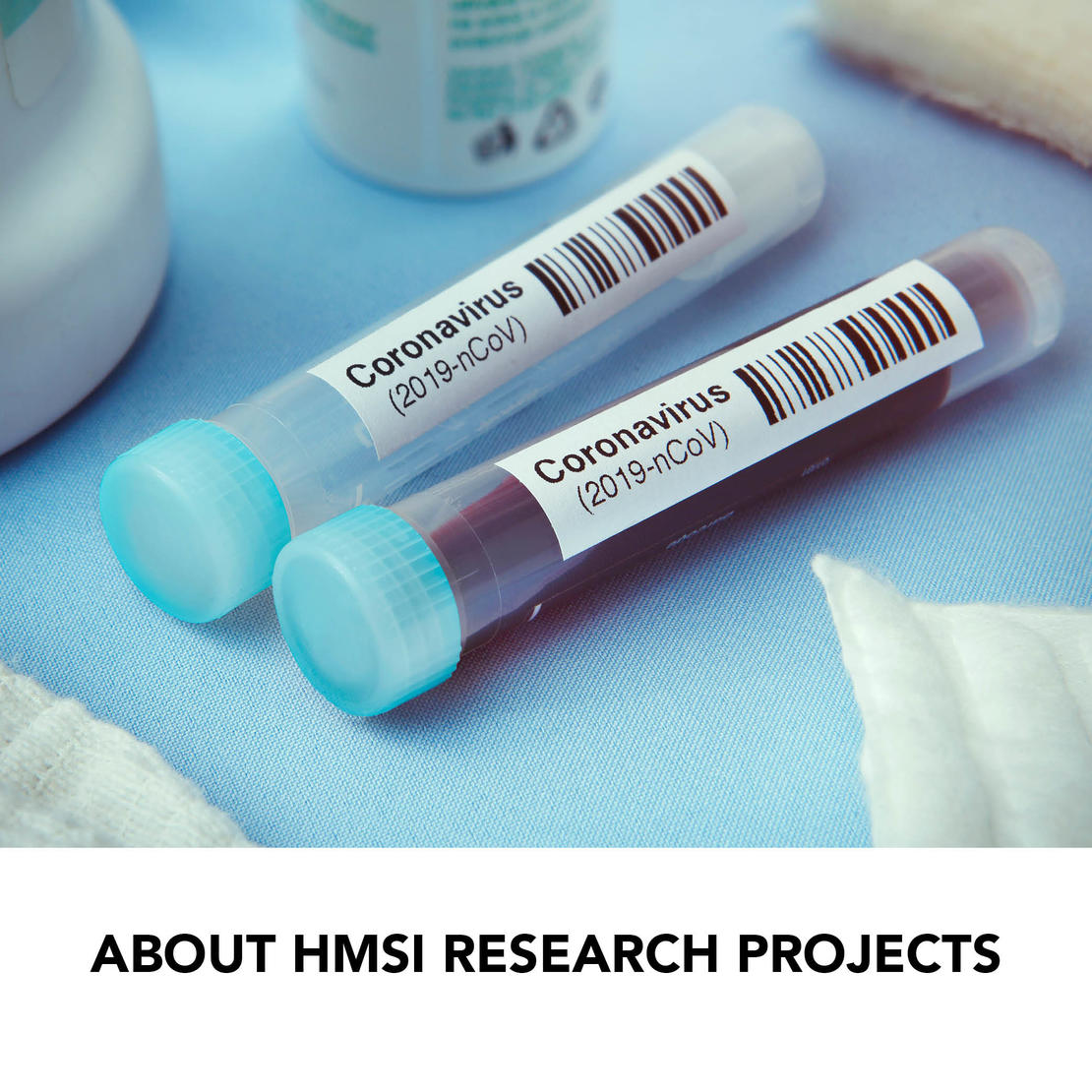 ABOUT HMSI RESEARCH PROJECTS