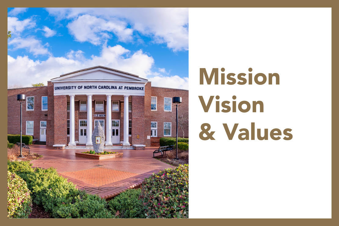 University mission, vision, values & Institutional distinctiveness