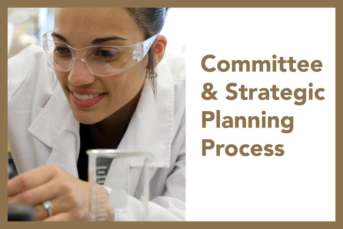 SPARC Committee and Strategic Planning Process