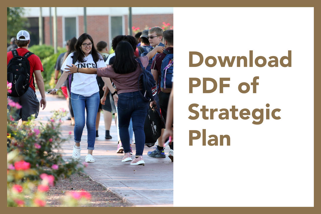Download a PDF of the strategic Plan