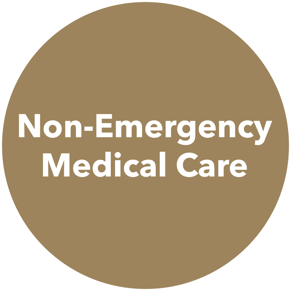Graphic that reads "Non-Emergency Medical Care"
