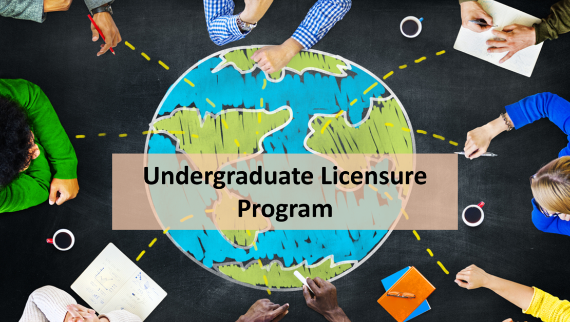 Undergraduate Licensure Program