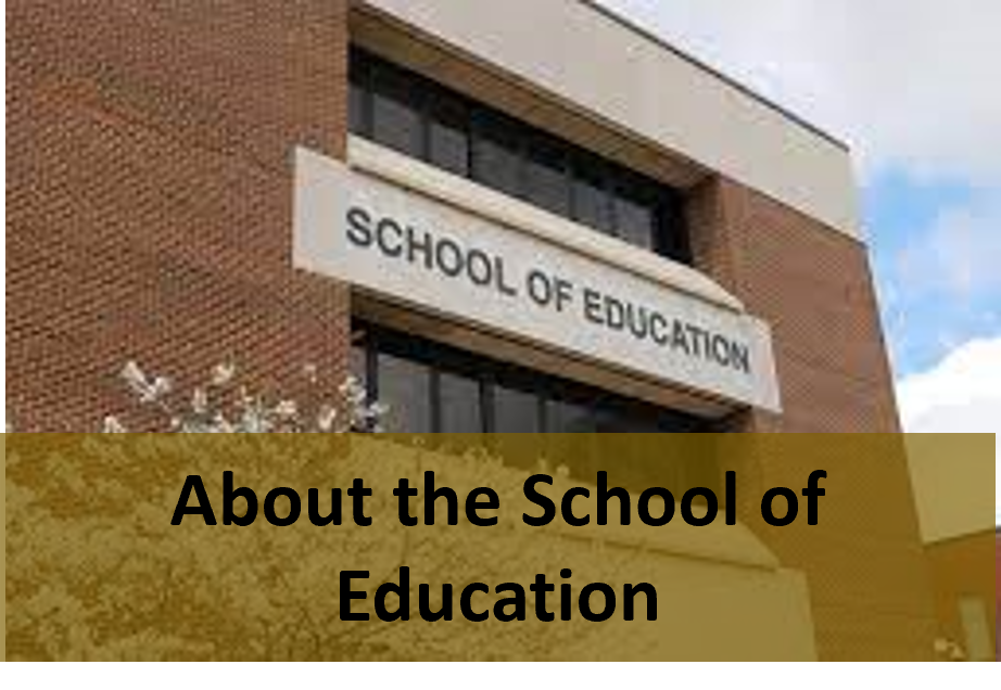 About the School of Education 