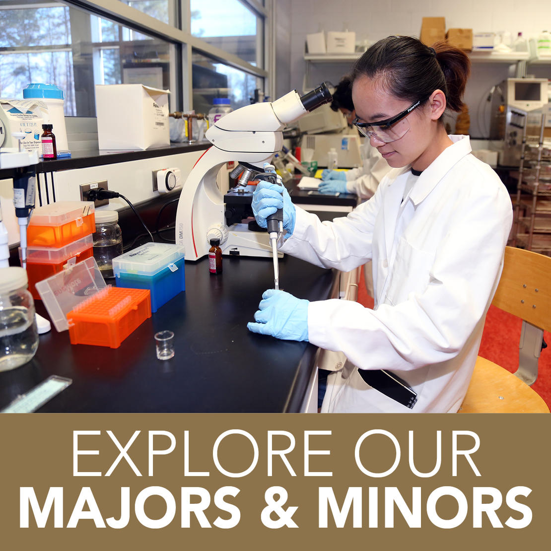 Explore our majors & minors!