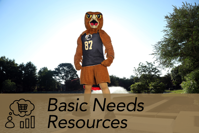 Basic Needs Resources webpage