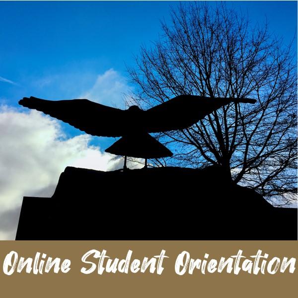 Online Orientation 