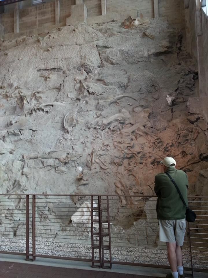 Quarry at Dinosaur National Monument, UT