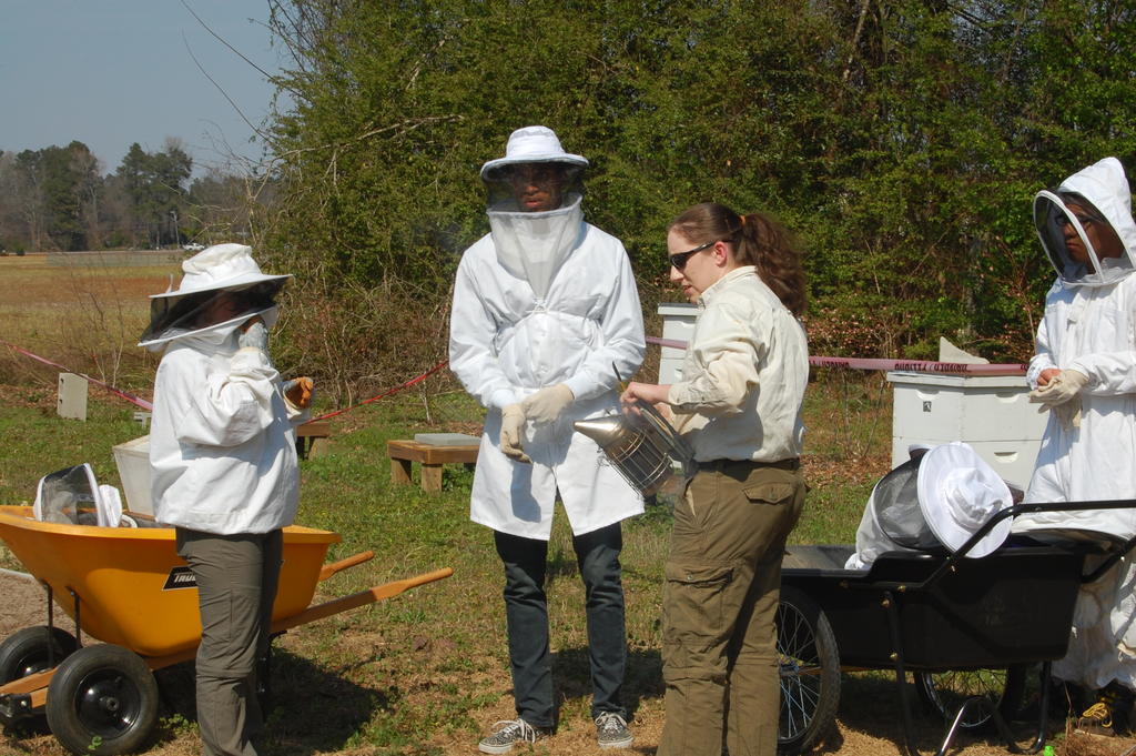 Beekeepers wear protective gear