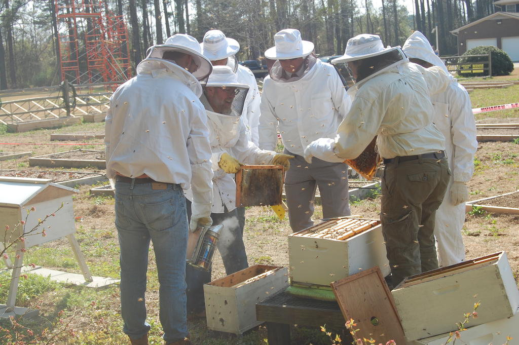 Dr. J. Porter Lillis, Dr. Jeff Frederick, and others tend the bees at the Campus Garden.