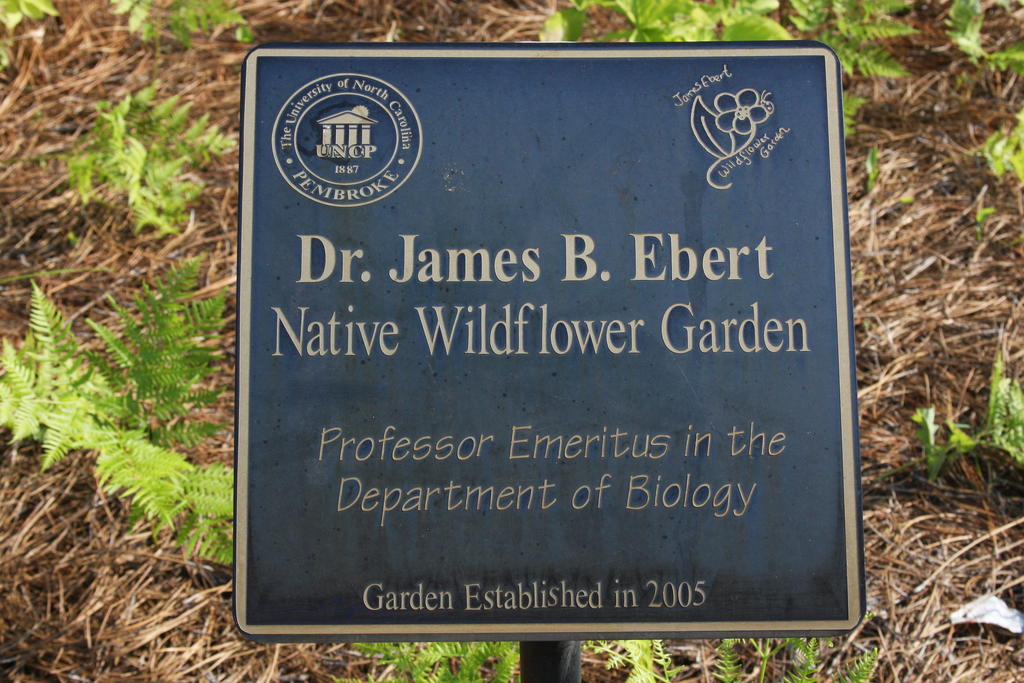 Dr. James B. Ebert plaque