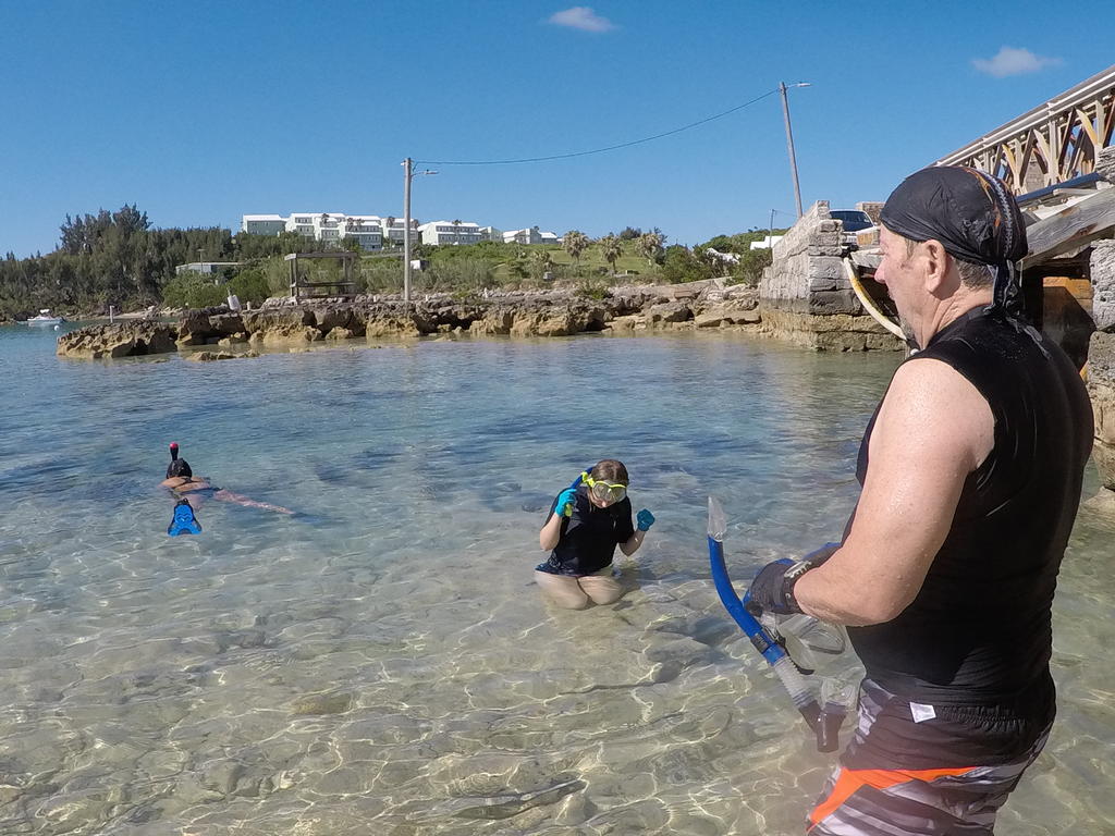 Bermuda's crystal waters offer great views of marine life