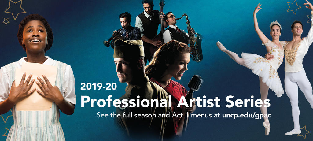 2019-2020 Professional Artist Series