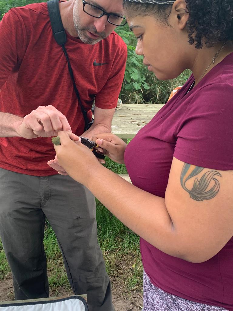 Jasmine Kelly learning from her mentor, Dr. David Brown, about bird banding while handling a White-eyed Vireo