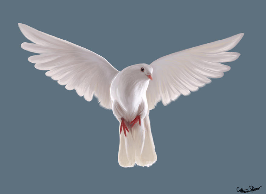 White Bird, digital by Catherine Palmer