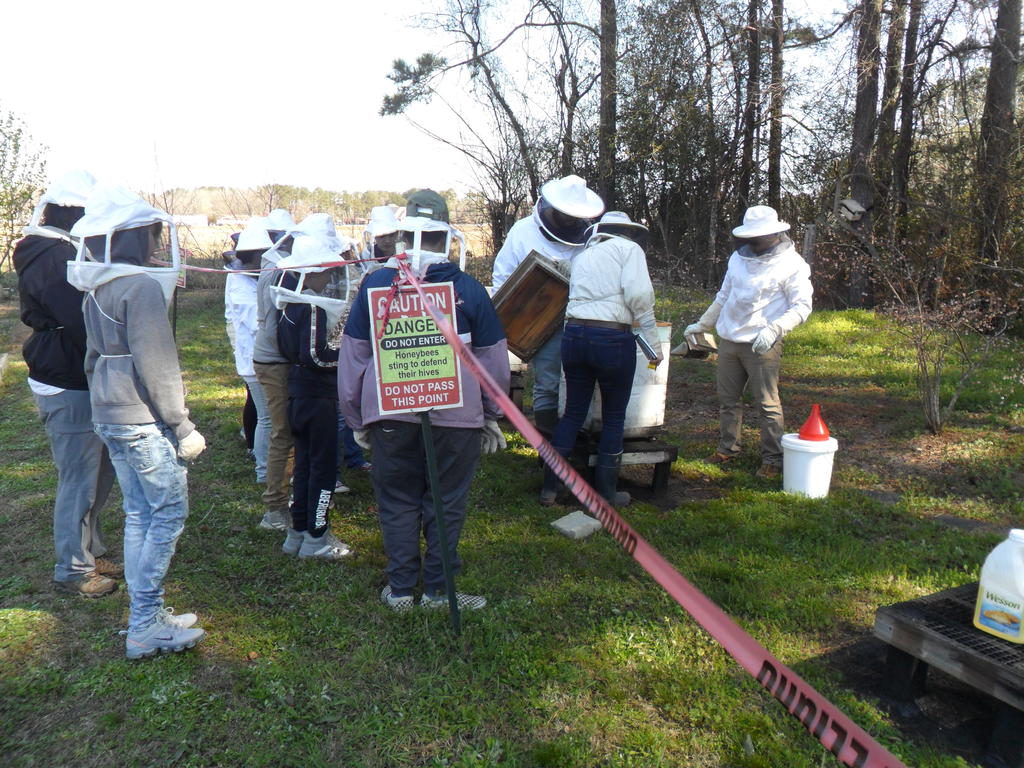 Students in the Kids in the Garden program learn to work with bee colonies