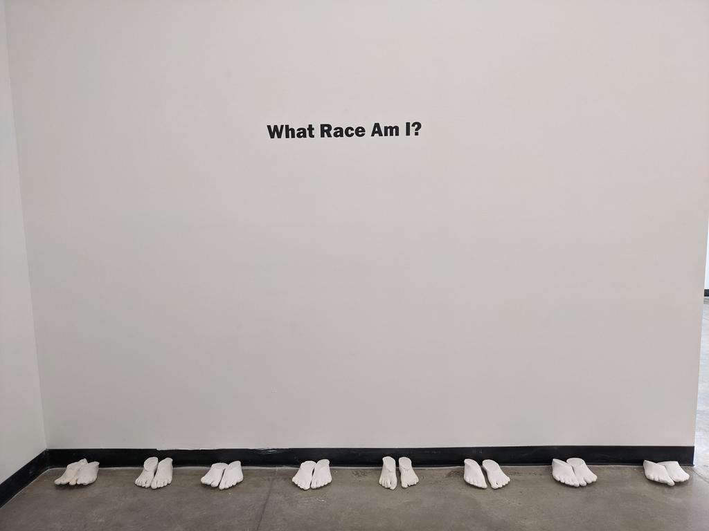Alicia Haggans "Race Status"
