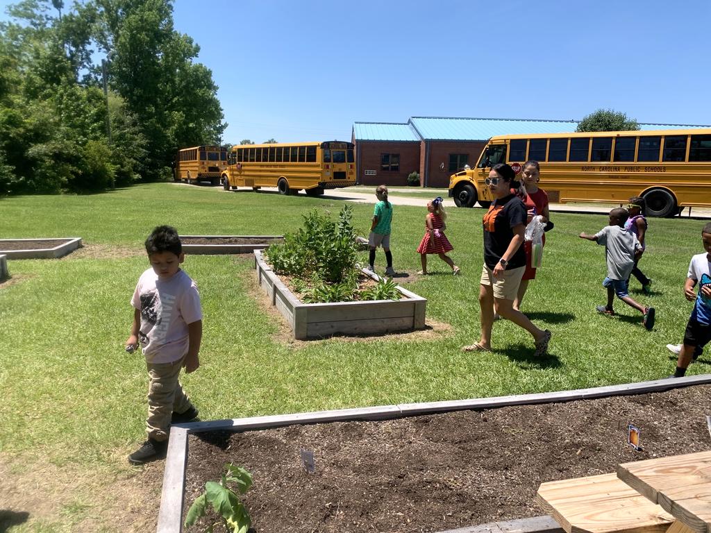 School children converge on the sustainable garden at Magnolia Elementary School